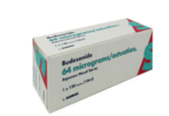 Budesonide 64mcg Aqueous Nasal Spray 120 dose (Generic Rhinocort)