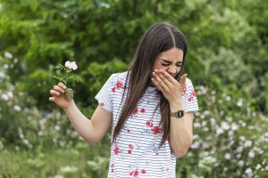 hay fever statistics